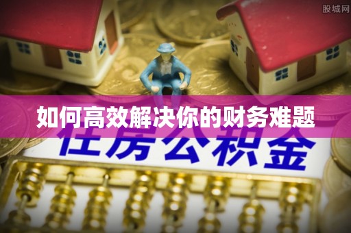 东坑如何高效解决你的财务难题